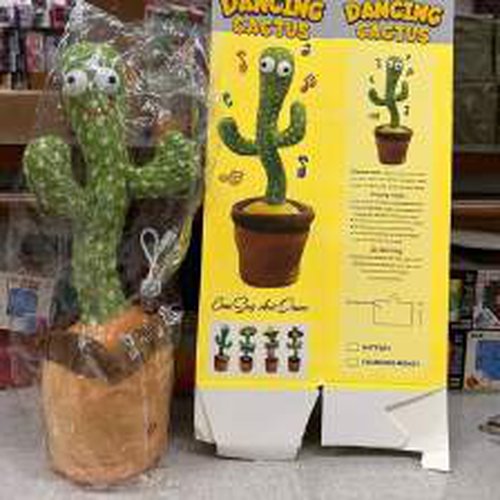 Dancing Cactus